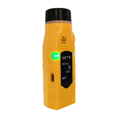 IP33 H2s Gaslekdetector 120g Draagbare waterstofsulfide H2s-detector